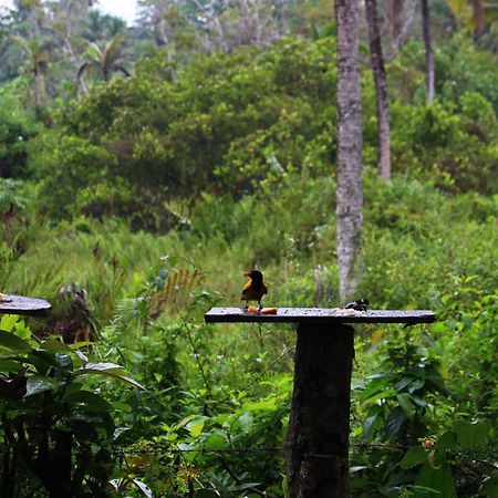 Villa Ovita Talpe Luaran gambar