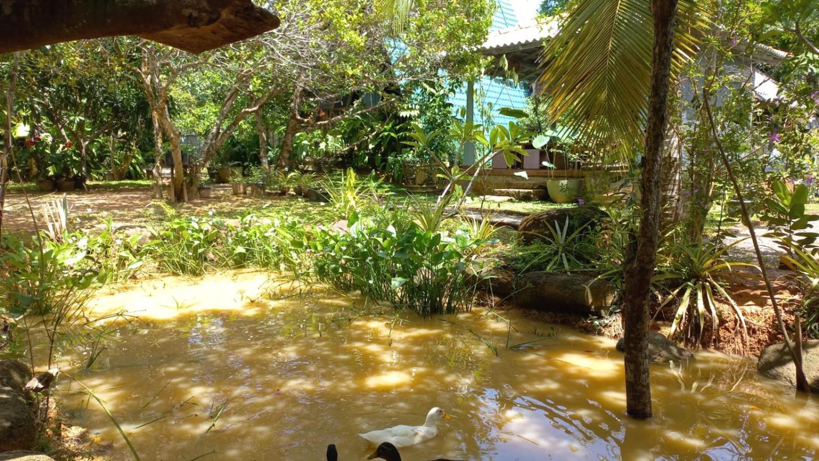 Villa Ovita Talpe Luaran gambar