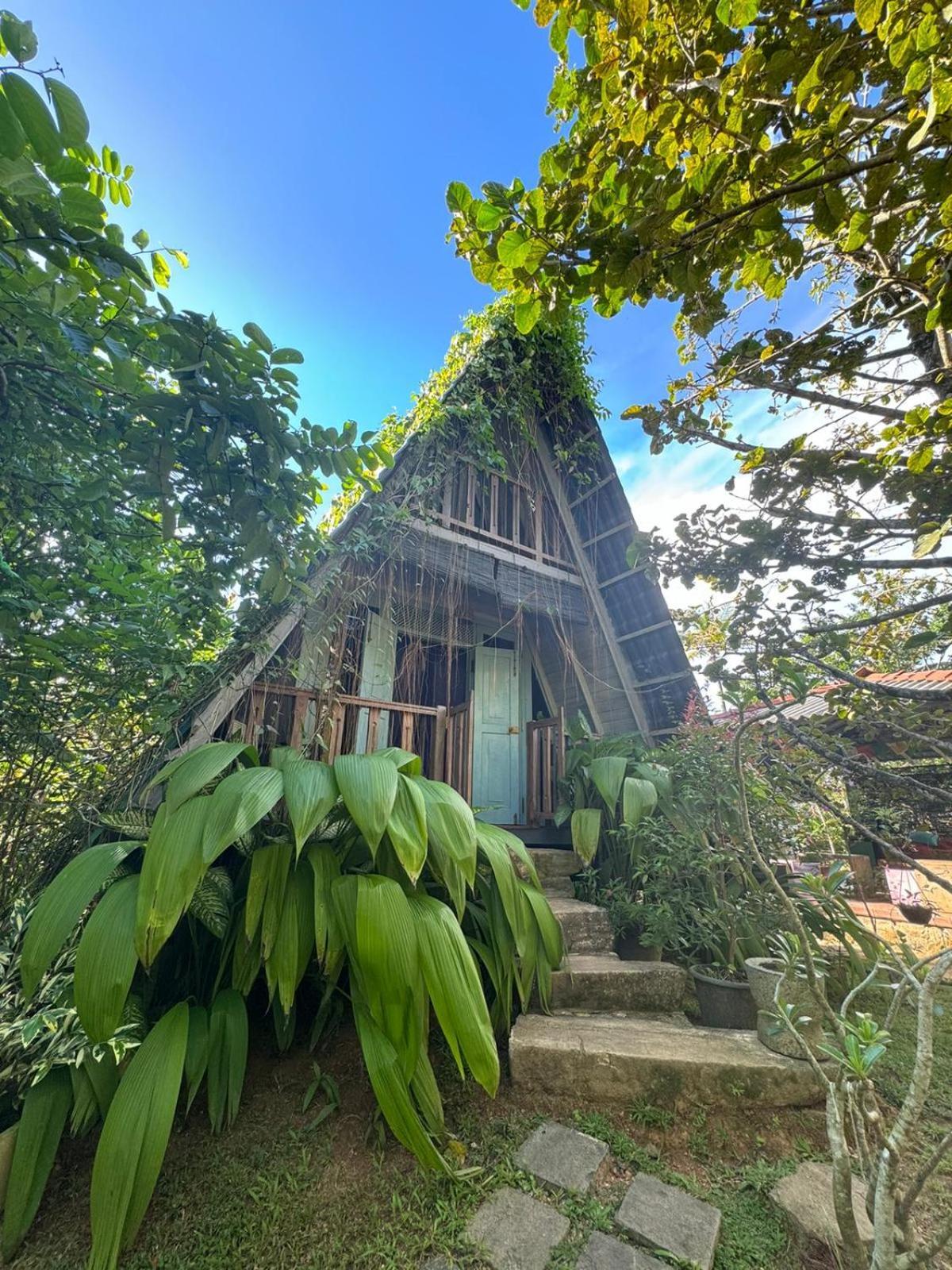 Villa Ovita Talpe Luaran gambar