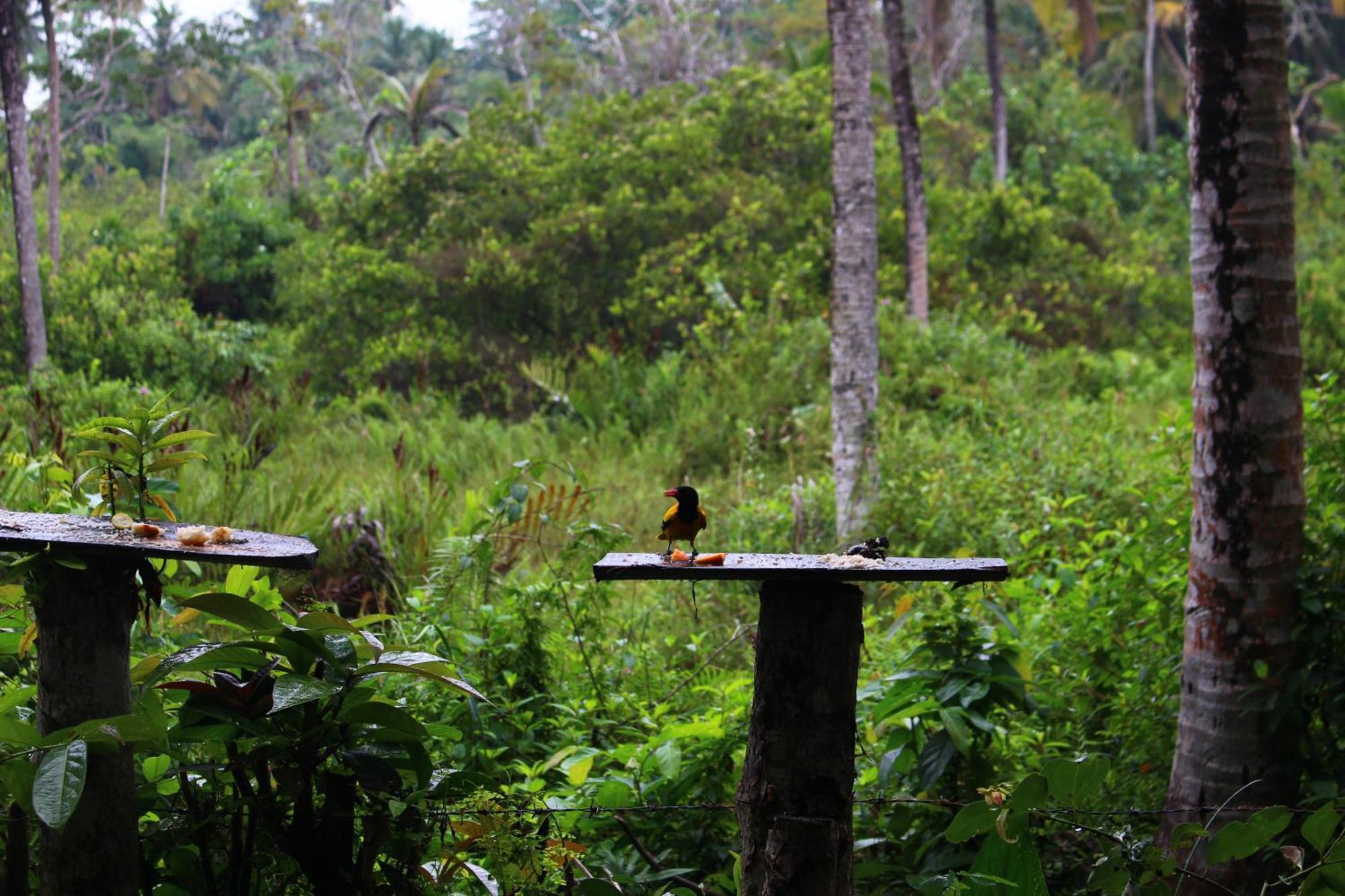 Villa Ovita Talpe Luaran gambar